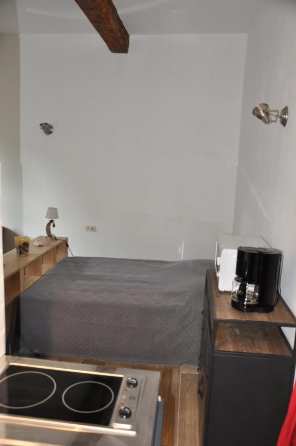 Location Studio Meuble Avec Jardin Sorgues Exteriér fotografie